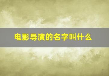 电影导演的名字叫什么