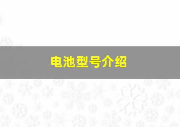 电池型号介绍