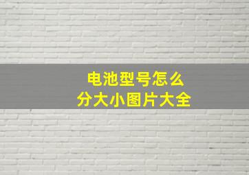 电池型号怎么分大小图片大全