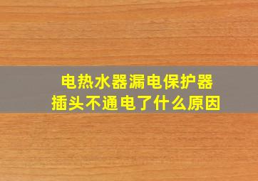 电热水器漏电保护器插头不通电了什么原因