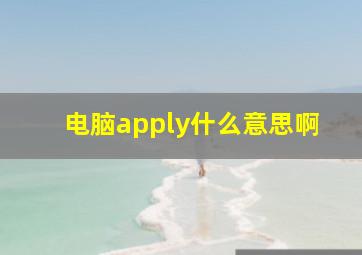 电脑apply什么意思啊