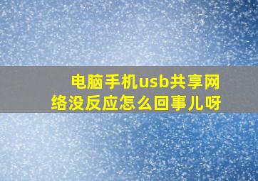 电脑手机usb共享网络没反应怎么回事儿呀