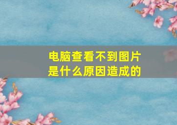 电脑查看不到图片是什么原因造成的