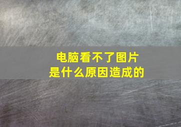 电脑看不了图片是什么原因造成的