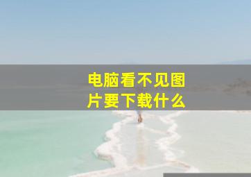 电脑看不见图片要下载什么