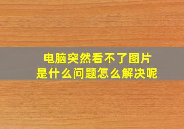 电脑突然看不了图片是什么问题怎么解决呢