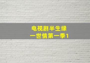 电视剧半生缘一世情第一季1