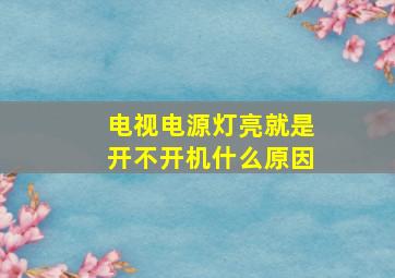 电视电源灯亮就是开不开机什么原因