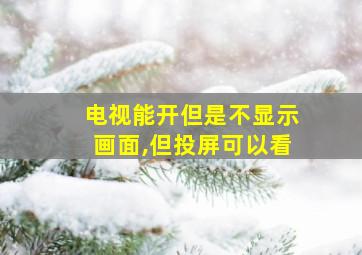 电视能开但是不显示画面,但投屏可以看