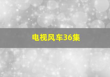 电视风车36集