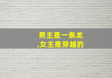 男主是一条龙,女主是穿越的