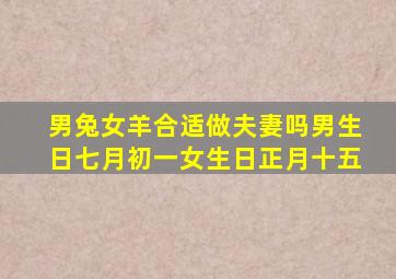 男兔女羊合适做夫妻吗男生日七月初一女生日正月十五