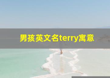 男孩英文名terry寓意