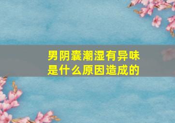 男阴囊潮湿有异味是什么原因造成的