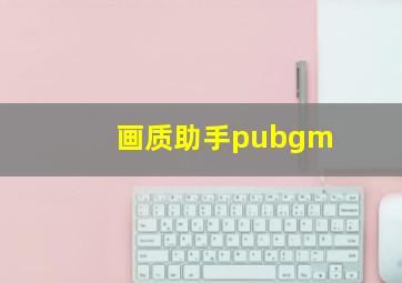 画质助手pubgm