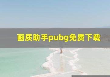 画质助手pubg免费下载