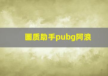 画质助手pubg阿浪