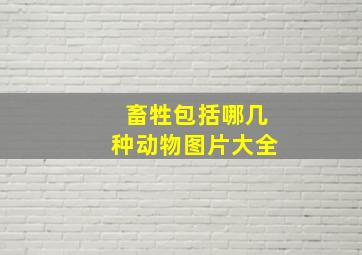 畜牲包括哪几种动物图片大全