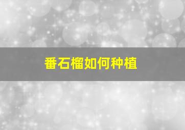 番石榴如何种植