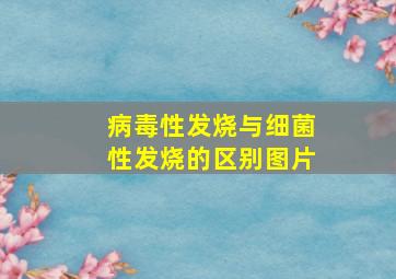 病毒性发烧与细菌性发烧的区别图片