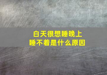 白天很想睡晚上睡不着是什么原因