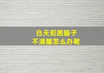 白天犯困脑子不清醒怎么办呢