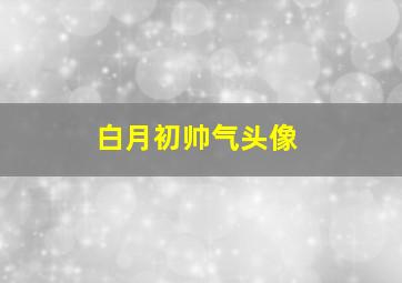 白月初帅气头像