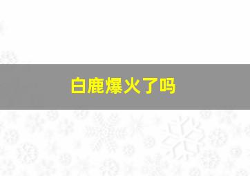 白鹿爆火了吗