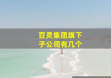 百灵集团旗下子公司有几个