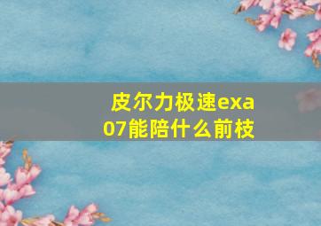 皮尔力极速exa07能陪什么前枝