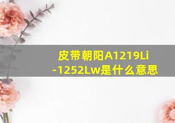 皮带朝阳A1219Li-1252Lw是什么意思