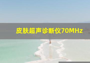 皮肤超声诊断仪70MHz