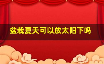 盆栽夏天可以放太阳下吗