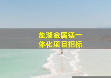 盐湖金属镁一体化项目招标