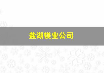 盐湖镁业公司