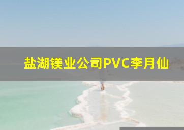 盐湖镁业公司PVC李月仙