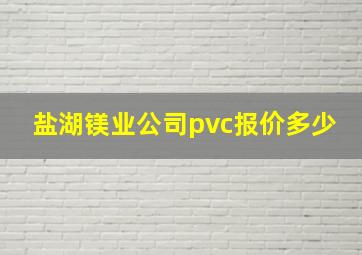 盐湖镁业公司pvc报价多少