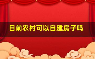 目前农村可以自建房子吗