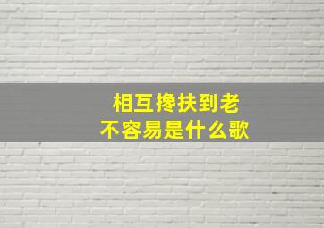 相互搀扶到老不容易是什么歌