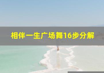 相伴一生广场舞16步分解