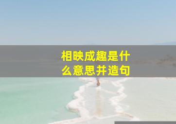 相映成趣是什么意思并造句