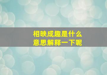 相映成趣是什么意思解释一下呢