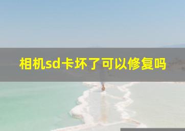 相机sd卡坏了可以修复吗