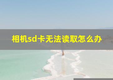 相机sd卡无法读取怎么办