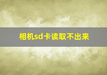 相机sd卡读取不出来