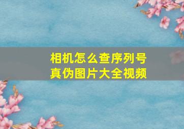 相机怎么查序列号真伪图片大全视频