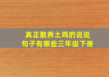 真正散养土鸡的说说句子有哪些三年级下册