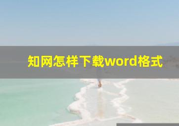 知网怎样下载word格式