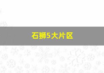 石狮5大片区