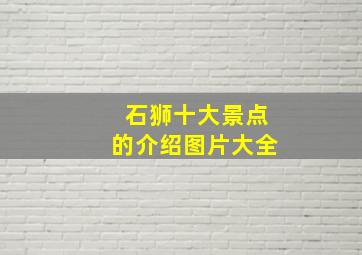 石狮十大景点的介绍图片大全